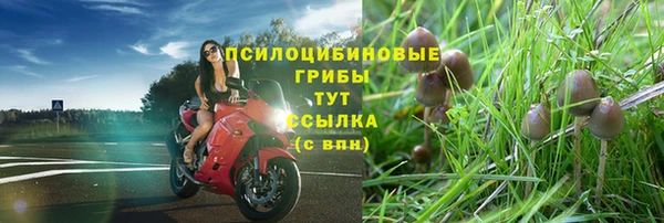 MESCALINE Абаза