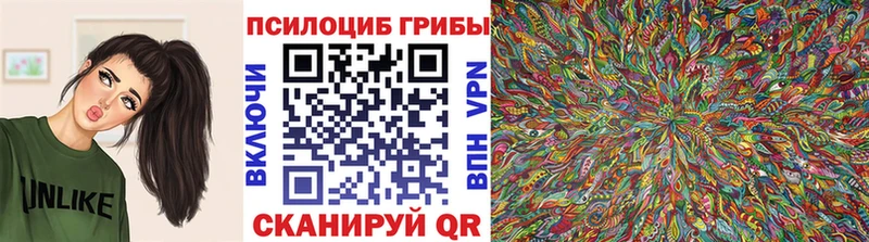 купить наркоту  Чухлома  Галлюциногенные грибы прущие грибы 